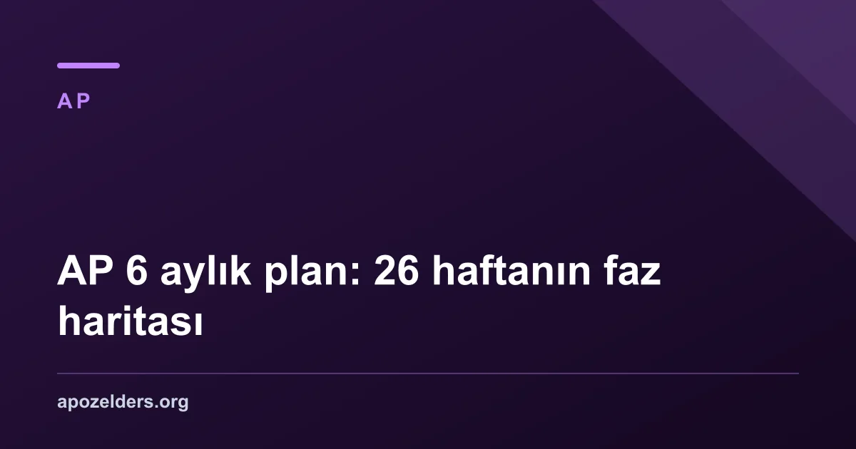 AP 6 aylık plan: 26 haftanın faz haritası