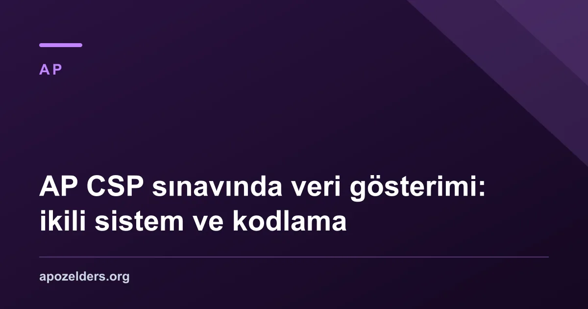 AP CSP sınavında veri gösterimi: ikili sistem ve kodlama
