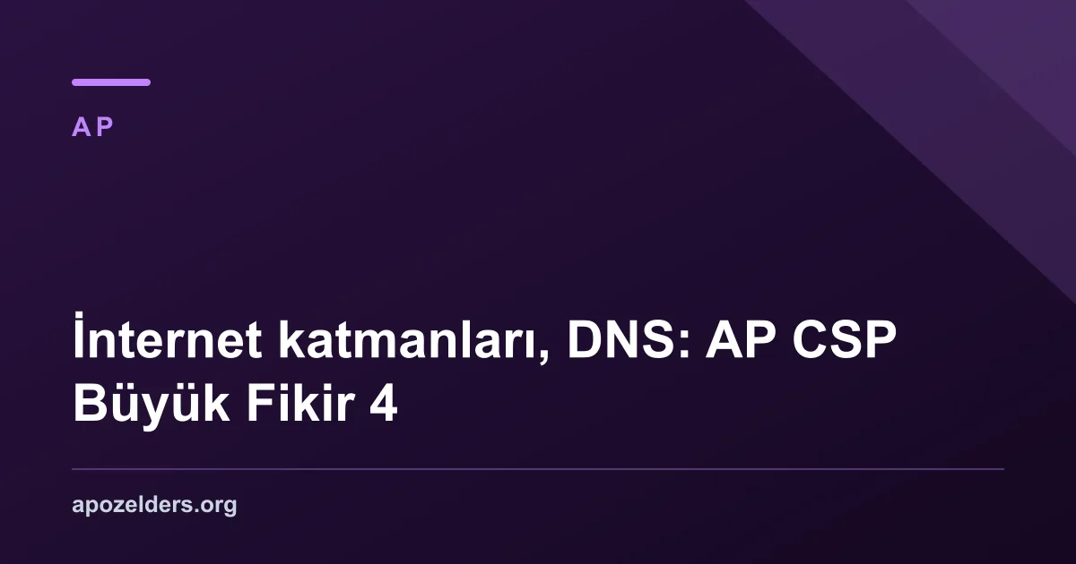 İnternet katmanları, DNS: AP CSP Büyük Fikir 4