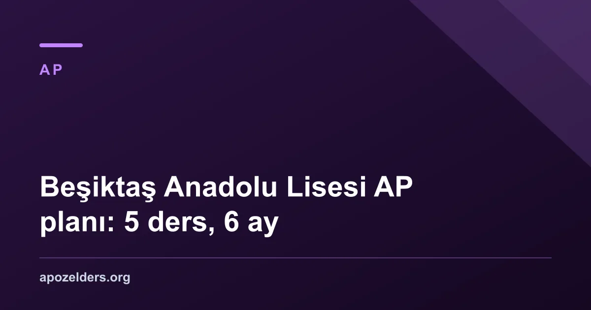 Beşiktaş Anadolu Lisesi AP planı: 5 ders, 6 ay
