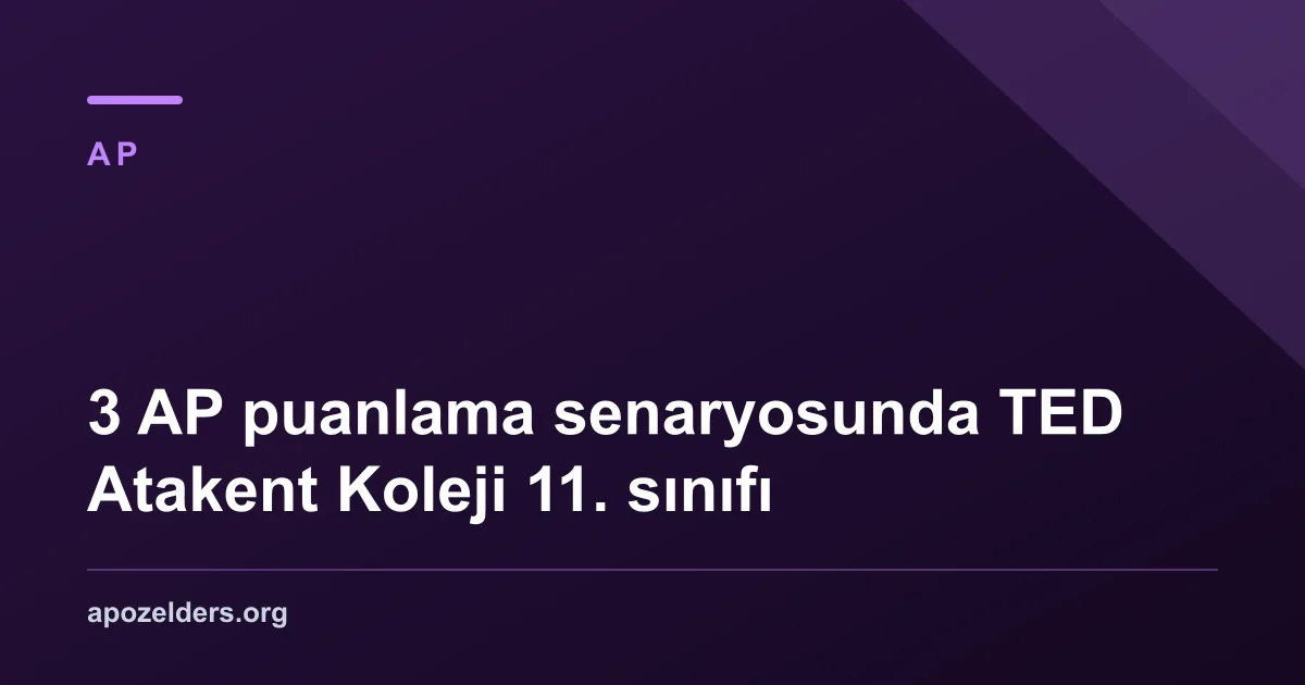 3 AP puanlama senaryosunda TED Atakent Koleji 11. sınıfı